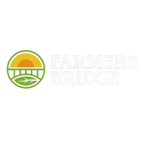 farmers-bridge-log-light
